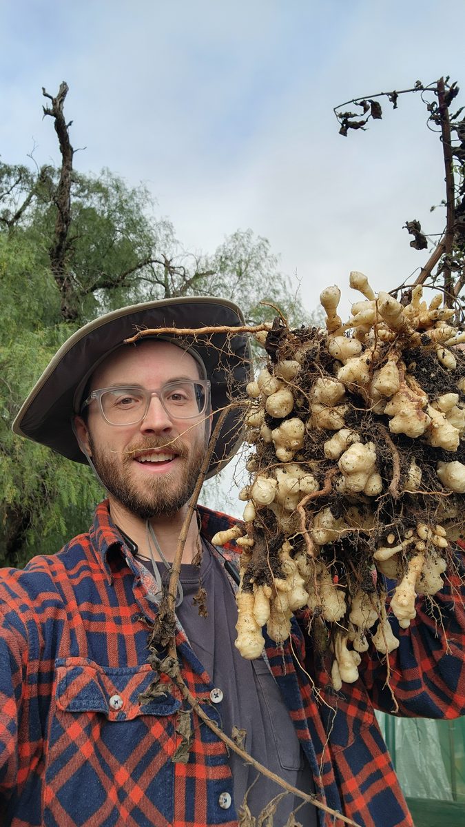 Micah on the farm, smiling and holding a freshly dug harvest of knobbly root vegetables